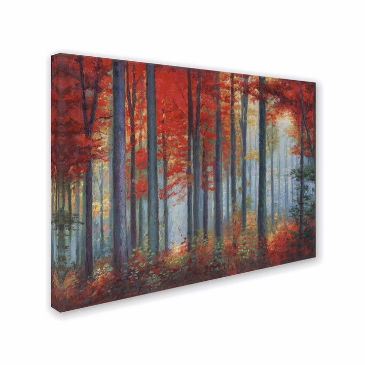 Daniel Moises Red Foreset 14 x 19 Canvas Art Image 3