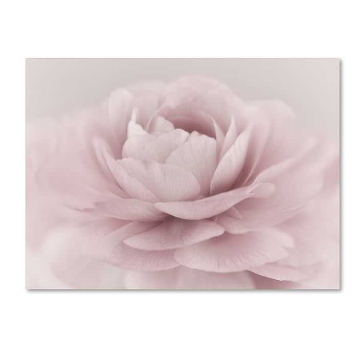 Cora Niele Stylisch Rose Pink 14 x 19 Canvas Art Image 1