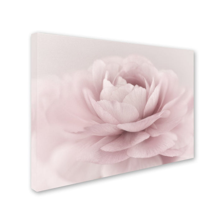 Cora Niele Stylisch Rose Pink 14 x 19 Canvas Art Image 3