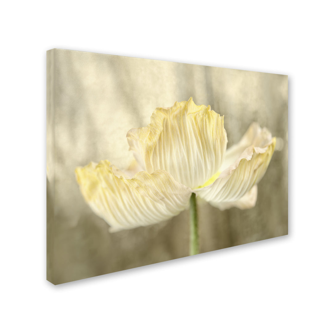 Cora Niele Sunshine Poppy 14 x 19 Canvas Art Image 3