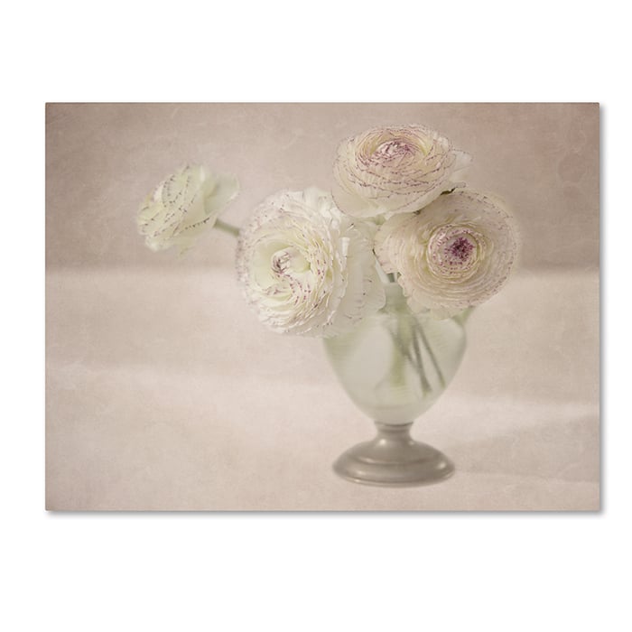 Cora Niele White Persian Buttercups Posy 14 x 19 Canvas Art Image 1