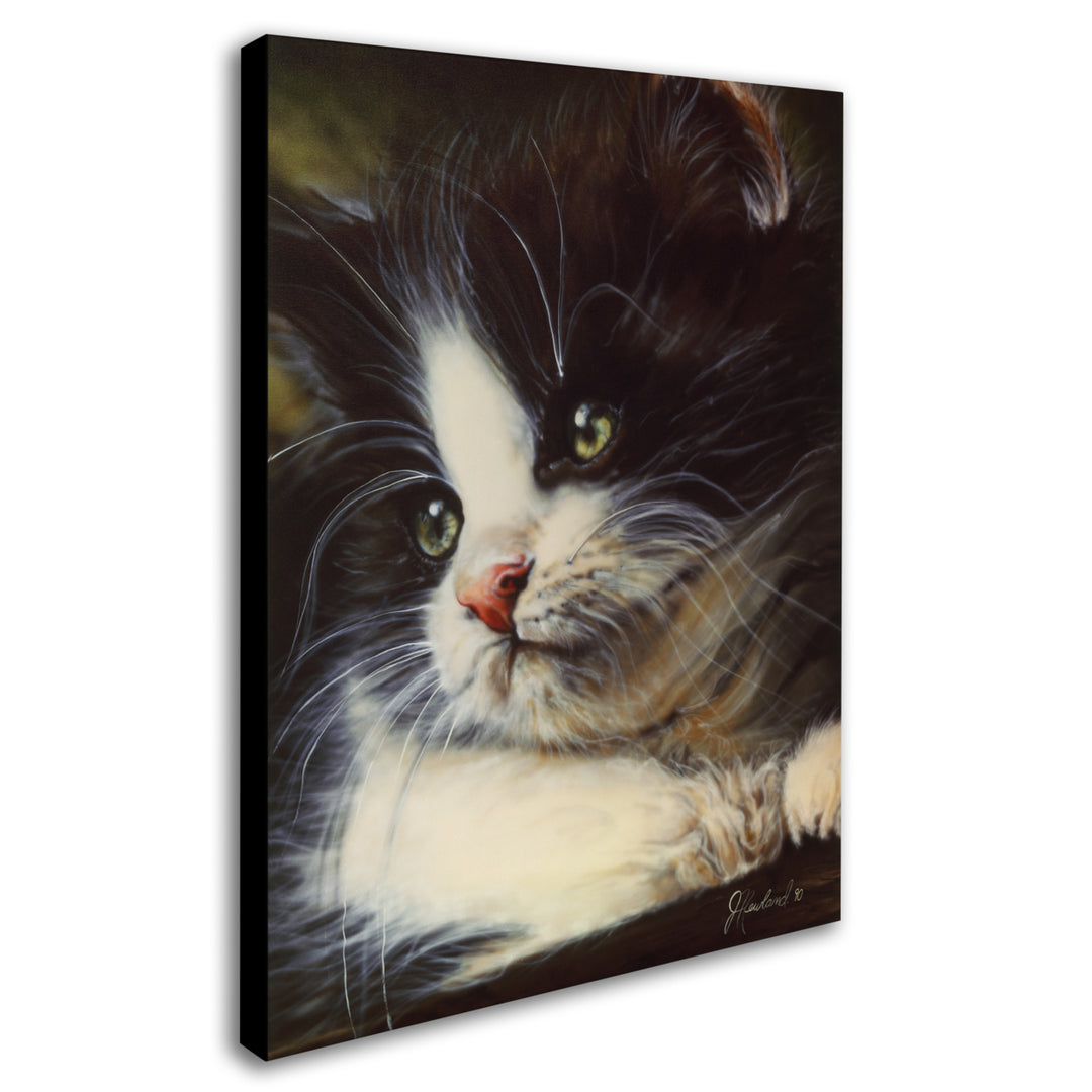 Jenny Newland Precious Moment 14 x 19 Canvas Art Image 3