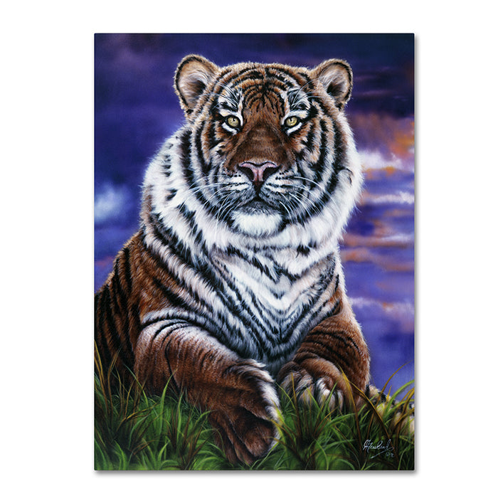 Jenny Newland Arizona Tiger 14 x 19 Canvas Art Image 1