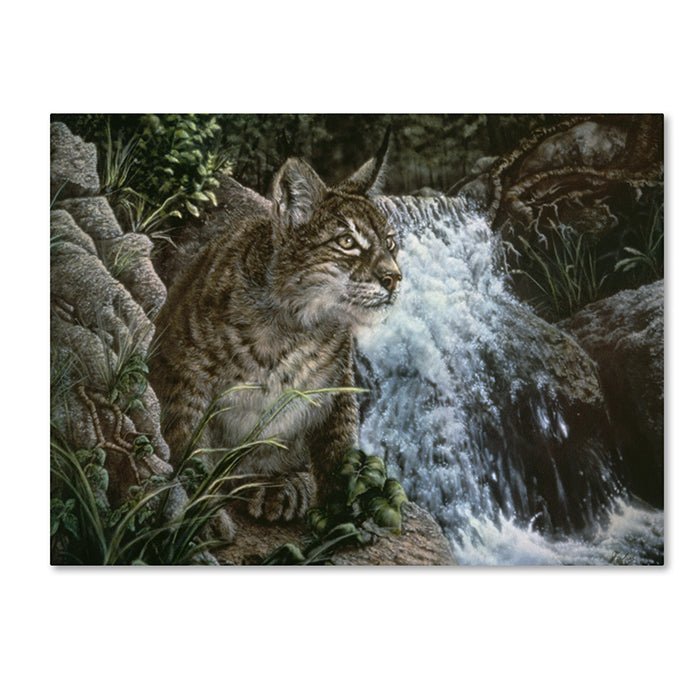 Jenny Newland Danger In Paradise 14 x 19 Canvas Art Image 1