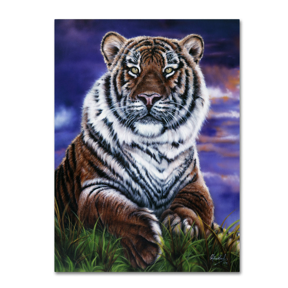 Jenny Newland Arizona Tiger 14 x 19 Canvas Art Image 2