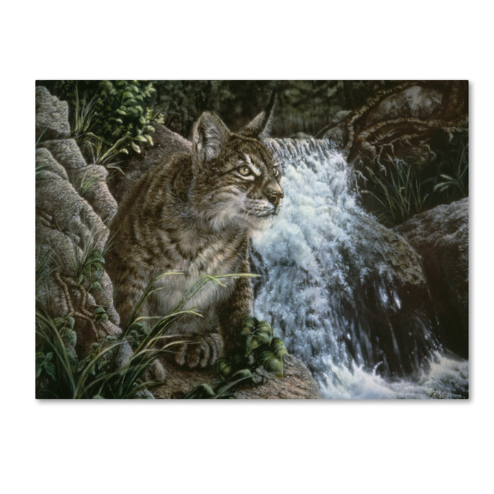 Jenny Newland Danger In Paradise 14 x 19 Canvas Art Image 2