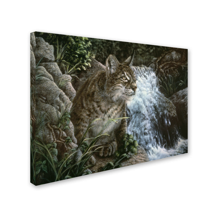 Jenny Newland Danger In Paradise 14 x 19 Canvas Art Image 3