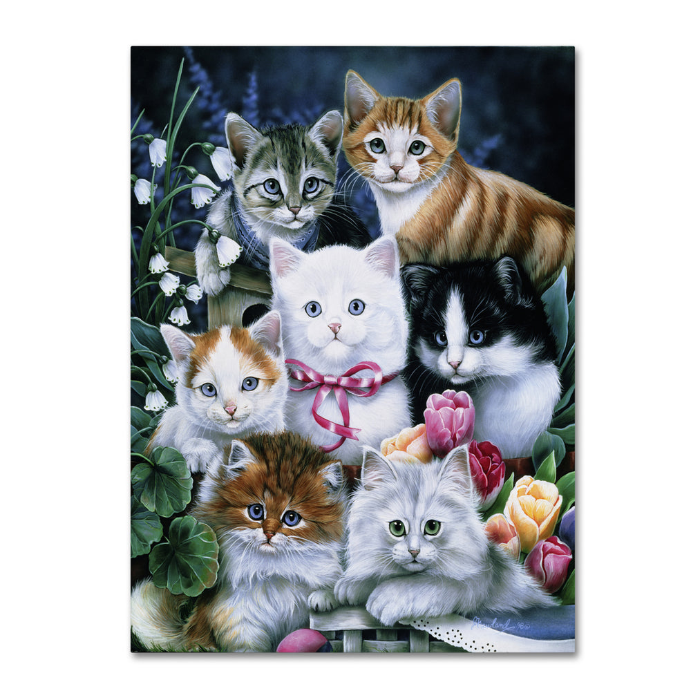 Jenny Newland Kittens 14 x 19 Canvas Art Image 2