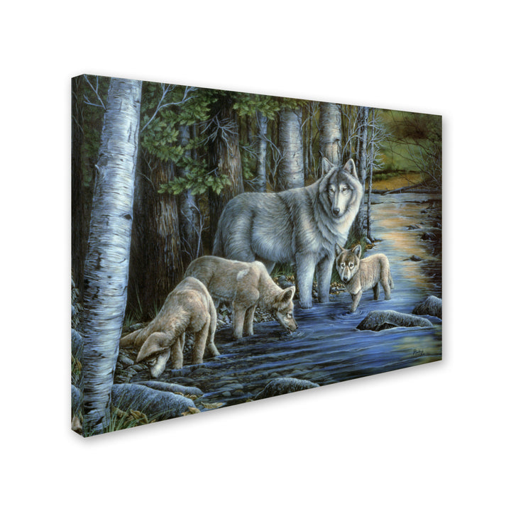 Jenny Newland Gentle Morning 14 x 19 Canvas Art Image 3