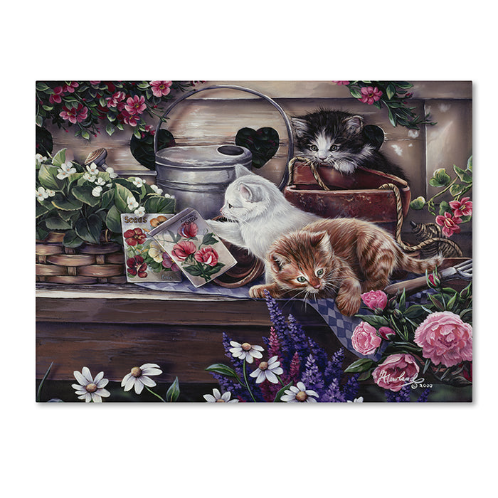 Jenny Newland Playful Kittens 14 x 19 Canvas Art Image 1