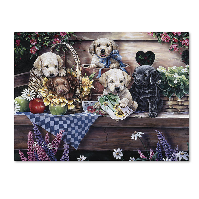 Jenny Newland Five Puppies 14 x 19 Canvas Art Image 1