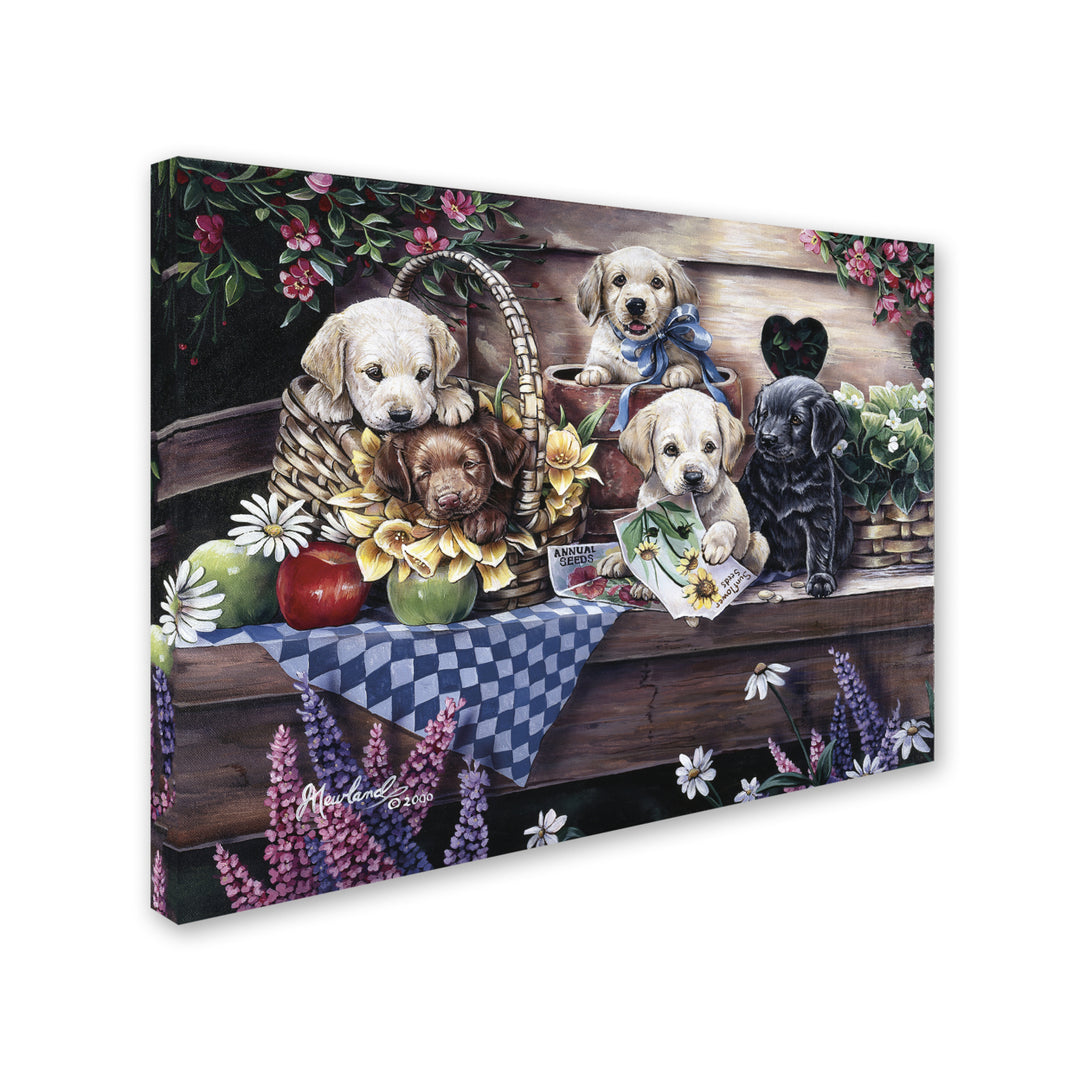 Jenny Newland Five Puppies 14 x 19 Canvas Art Image 3