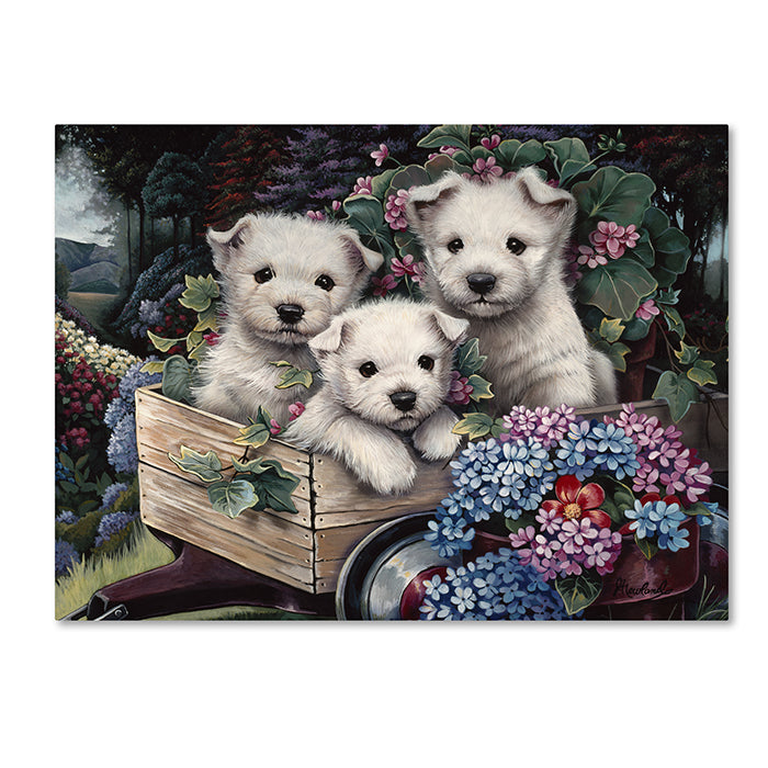 Jenny Newland Lovable Westies 14 x 19 Canvas Art Image 1