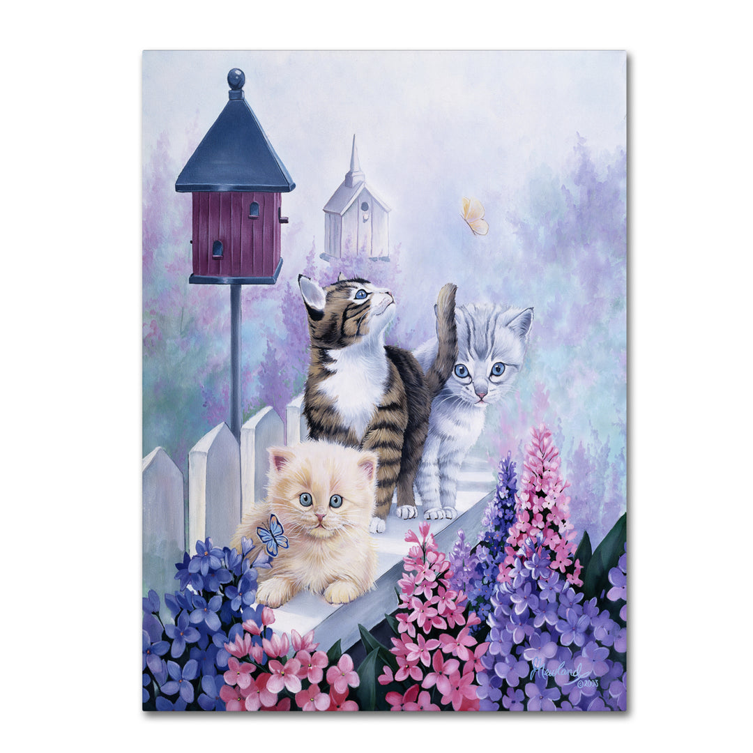 Jenny Newland Cats In Front Of The Birdfeeder 14 x 19 Canvas Art Image 2