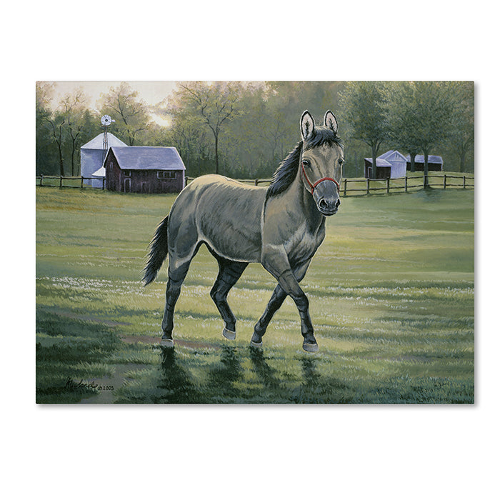 Jenny Newland In The Pasture 14 x 19 Canvas Art Image 1