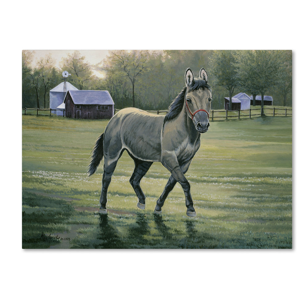 Jenny Newland In The Pasture 14 x 19 Canvas Art Image 2