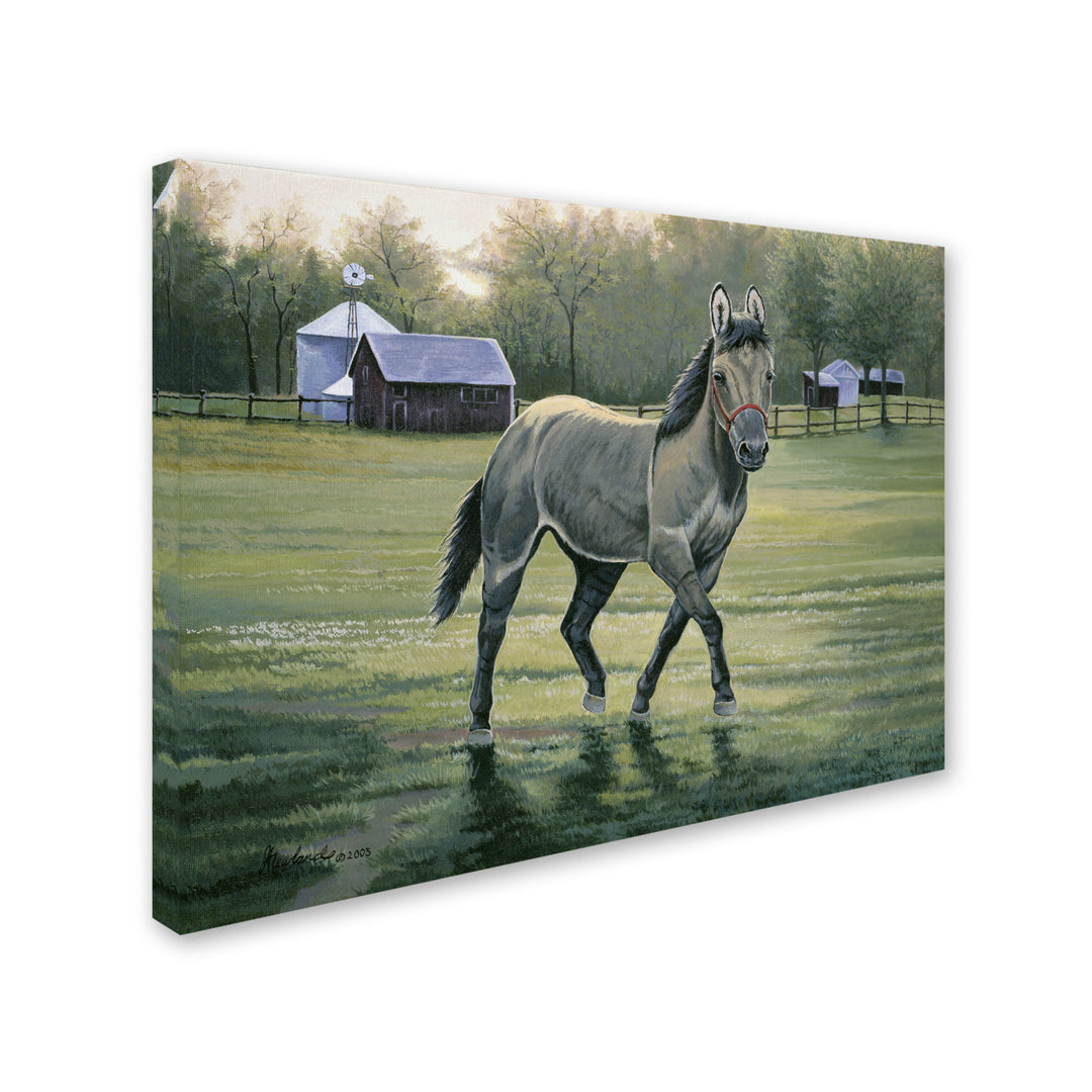 Jenny Newland In The Pasture 14 x 19 Canvas Art Image 3