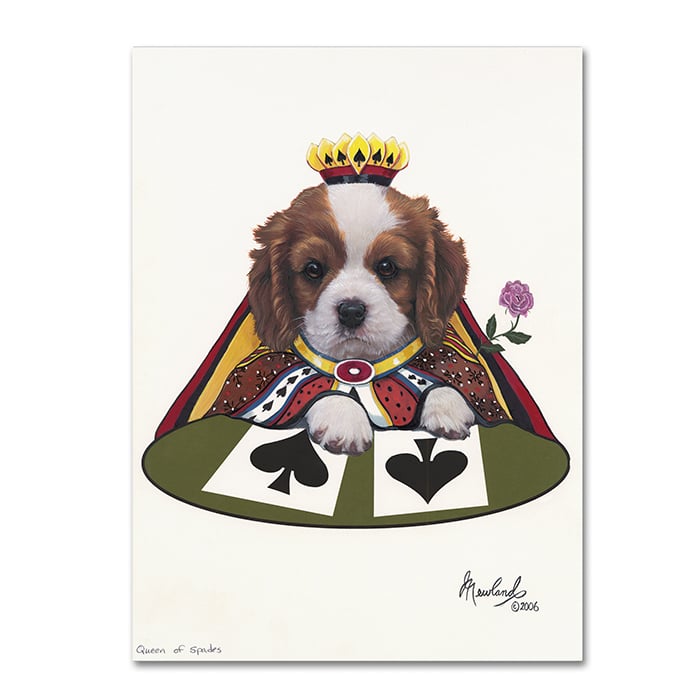 Jenny Newland Queen Of Spades 14 x 19 Canvas Art Image 1