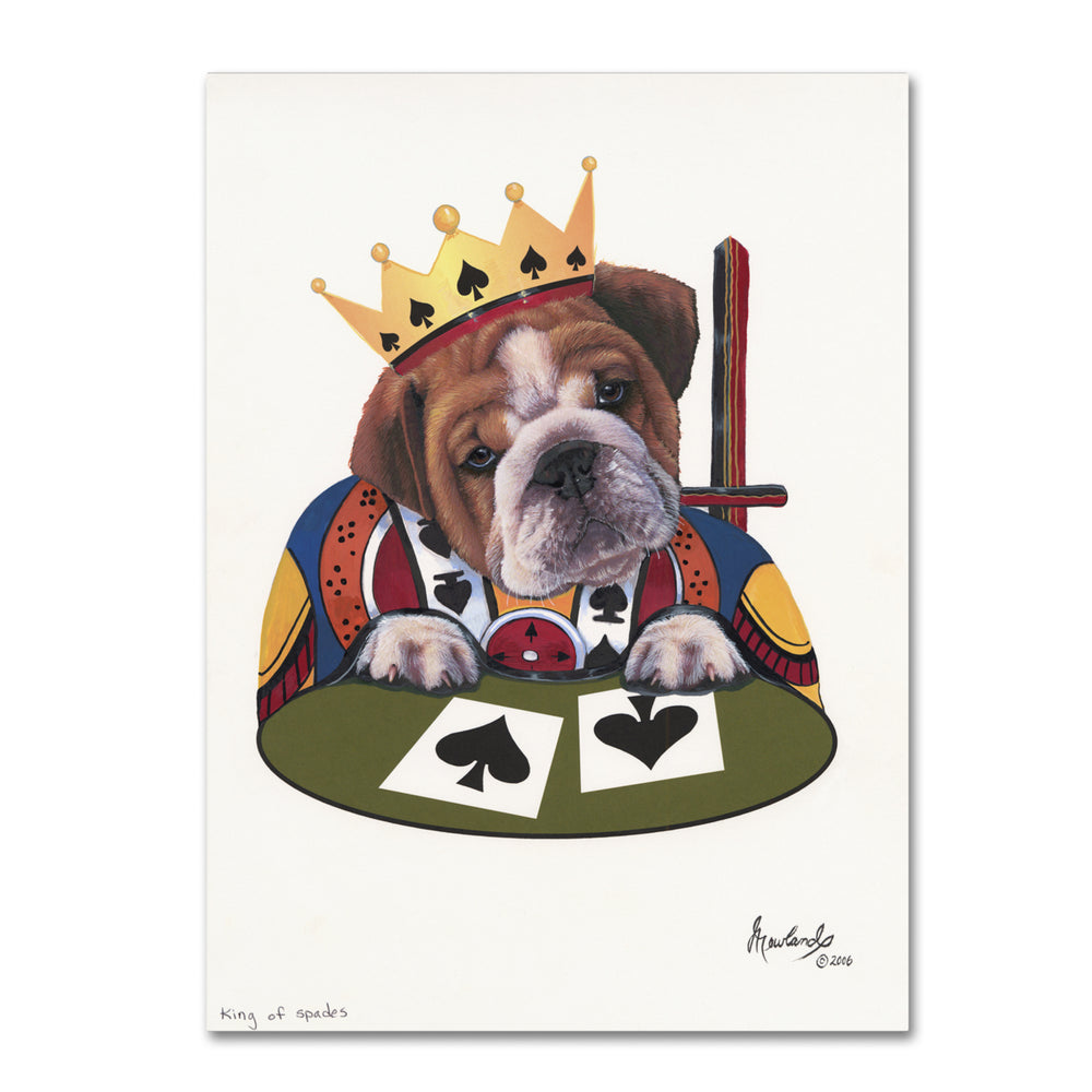 Jenny Newland King Of Spades 14 x 19 Canvas Art Image 2