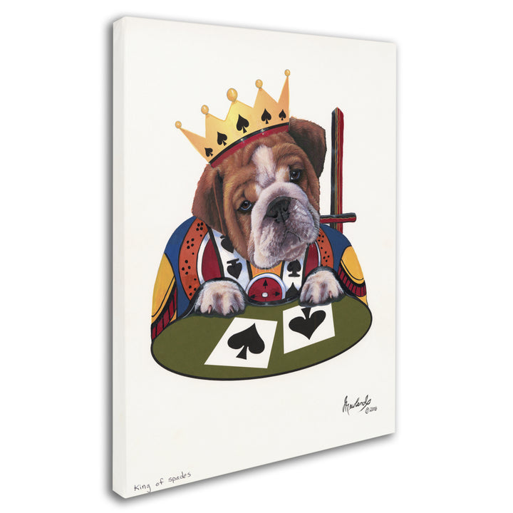 Jenny Newland King Of Spades 14 x 19 Canvas Art Image 3