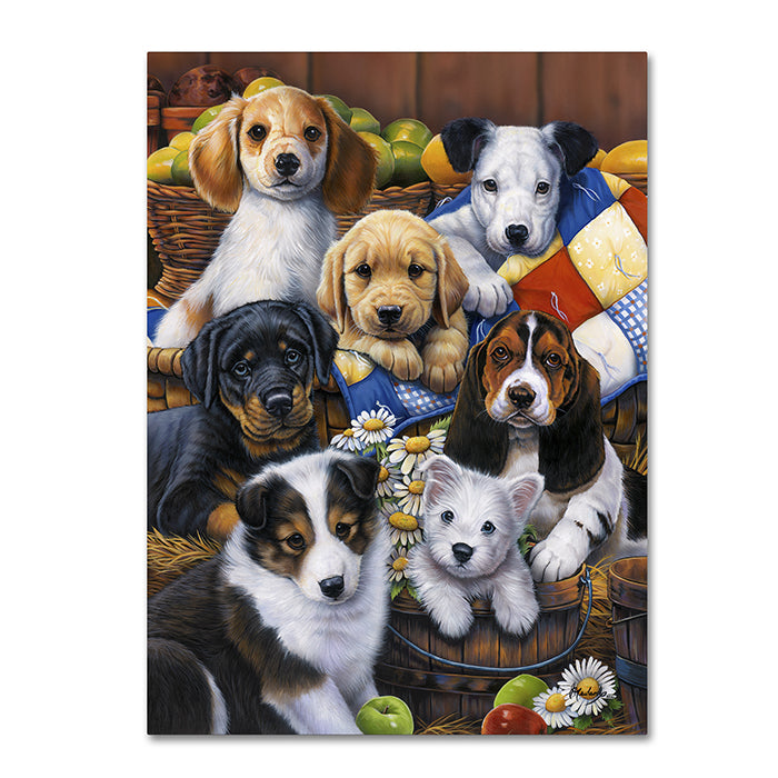 Jenny Newland Country Bumpkin Puppies 14 x 19 Canvas Art Image 1