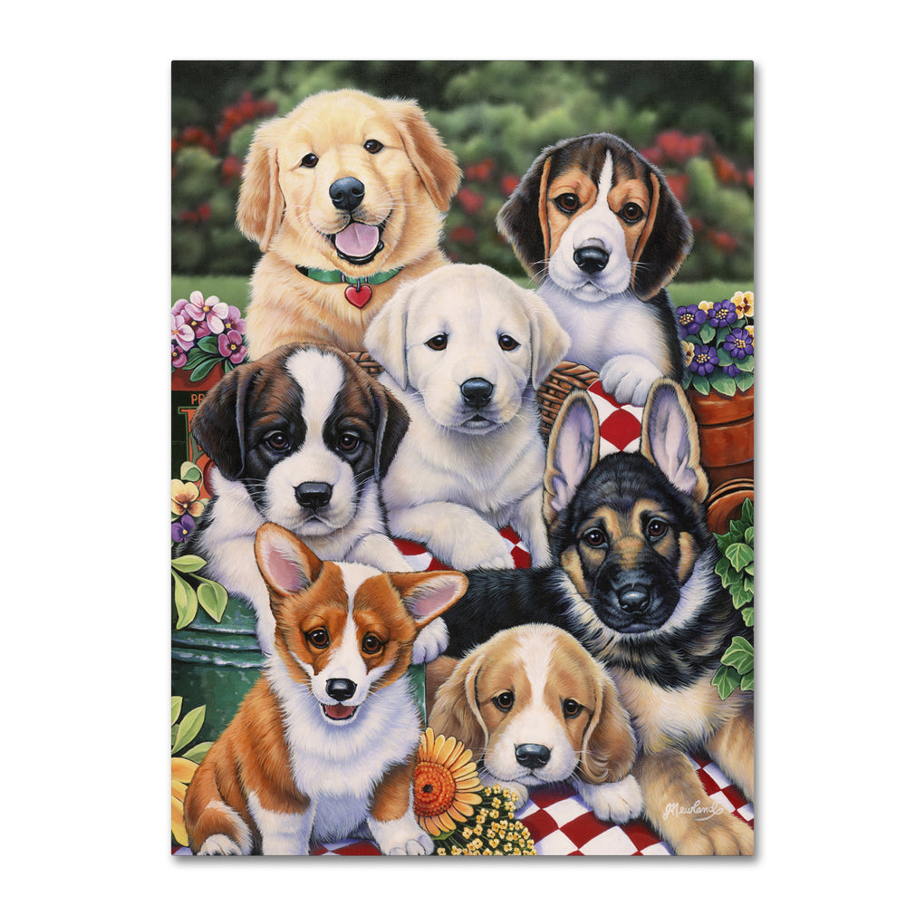 Jenny Newland Garden Puppies 14 x 19 Canvas Art Image 2