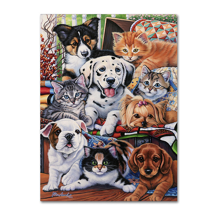 Jenny Newland Country Pups and Kittens II 14 x 19 Canvas Art Image 1