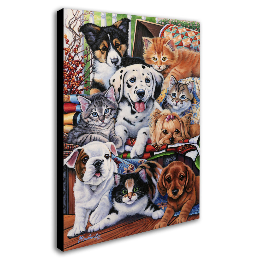 Jenny Newland Country Pups and Kittens II 14 x 19 Canvas Art Image 3