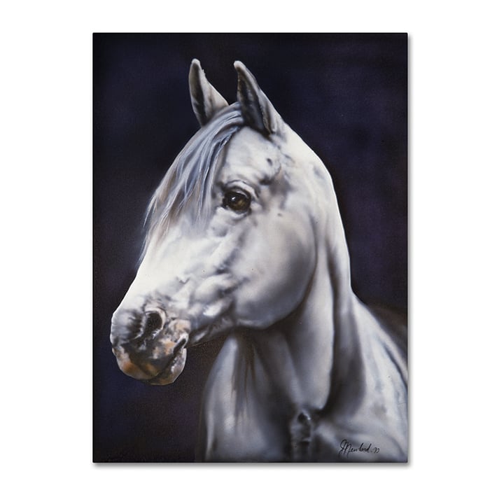 Jenny Newland White Arabian Stallion 14 x 19 Canvas Art Image 1