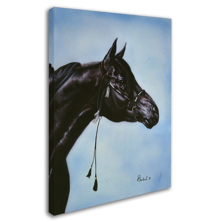 Jenny Newland Black Arabian 14 x 19 Canvas Art Image 3