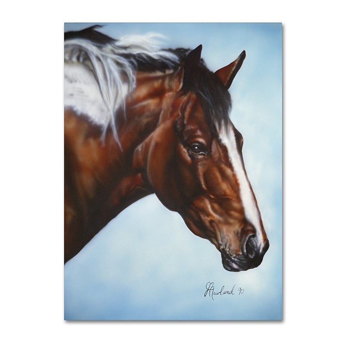 Jenny Newland Cherokee 14 x 19 Canvas Art Image 1