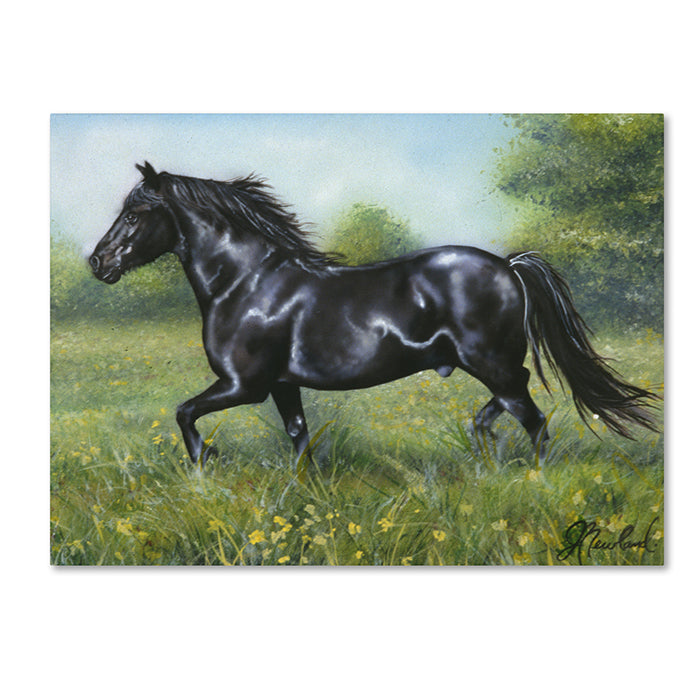 Jenny Newland Free Spirit 14 x 19 Canvas Art Image 1