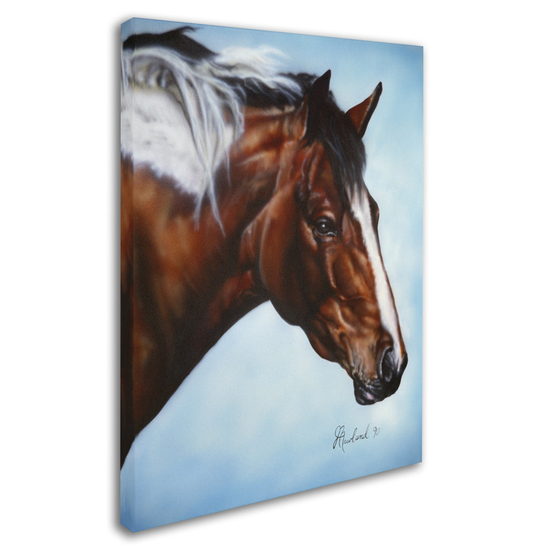 Jenny Newland Cherokee 14 x 19 Canvas Art Image 3