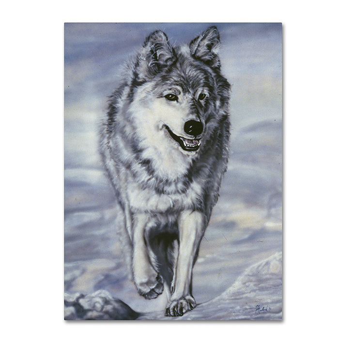 Jenny Newland Lord Of The Winterland 14 x 19 Canvas Art Image 1