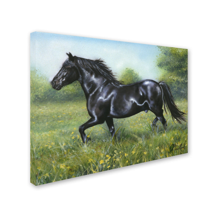 Jenny Newland Free Spirit 14 x 19 Canvas Art Image 3