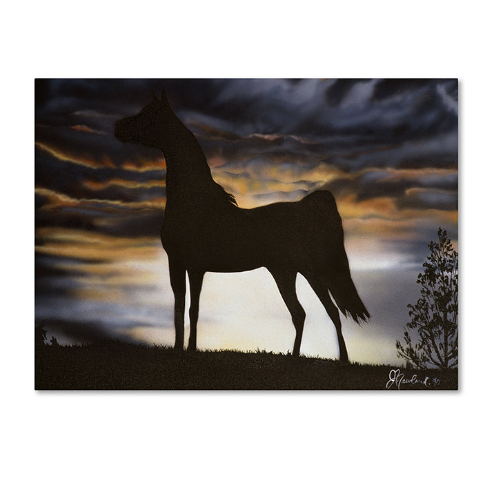 Jenny Newland Majestic Beauty 14 x 19 Canvas Art Image 1