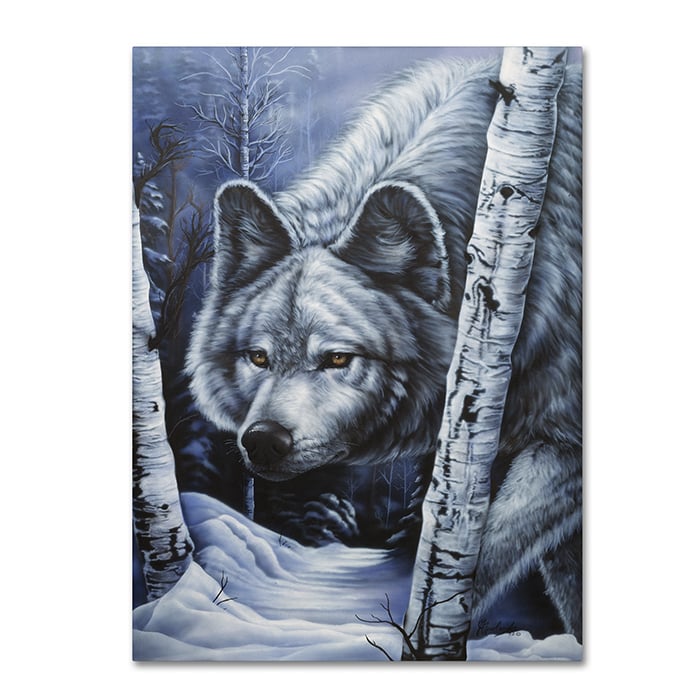 Jenny Newland White Wolf 14 x 19 Canvas Art Image 1