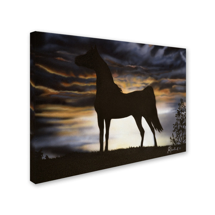 Jenny Newland Majestic Beauty 14 x 19 Canvas Art Image 3