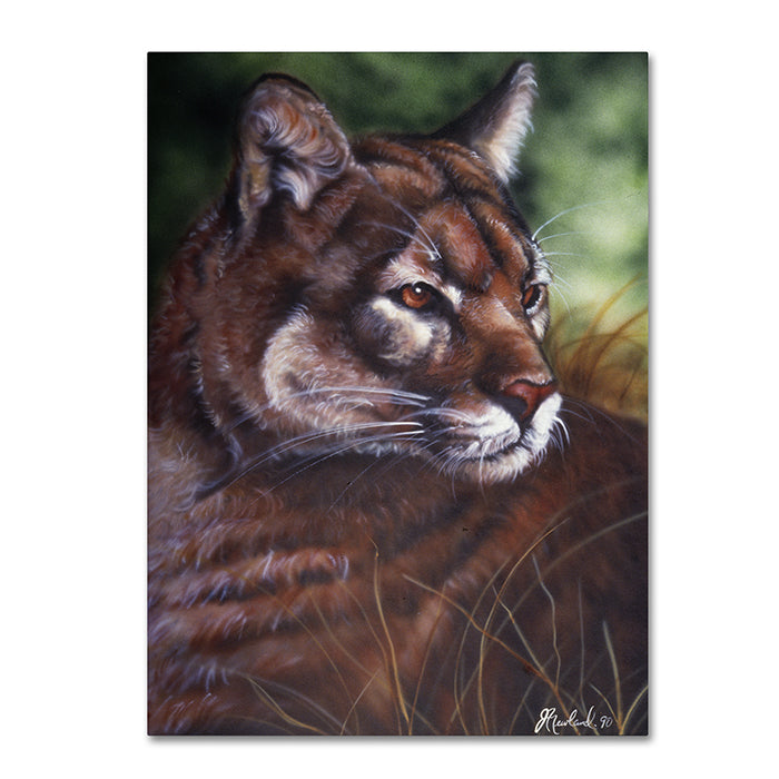 Jenny Newland Watchful Eyes II 14 x 19 Canvas Art Image 1