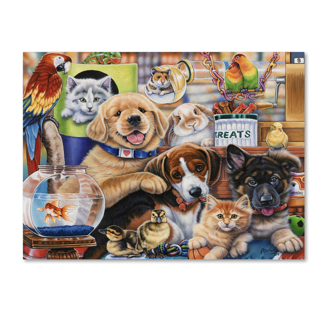 Jenny Newland Pet Shop 14 x 19 Canvas Art Image 2