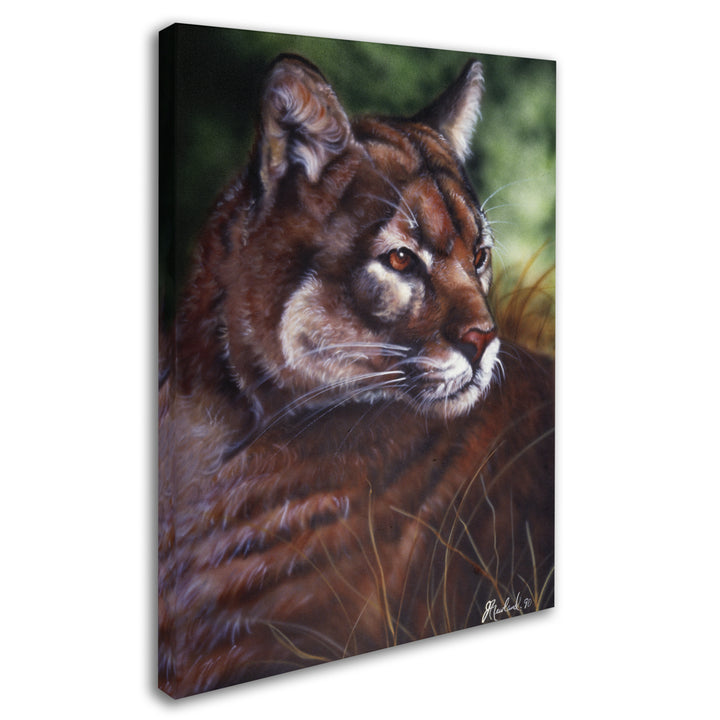 Jenny Newland Watchful Eyes II 14 x 19 Canvas Art Image 3