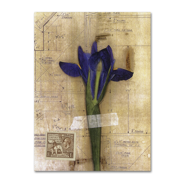 Nick Bantock Iris Plan 14 x 19 Canvas Art Image 2