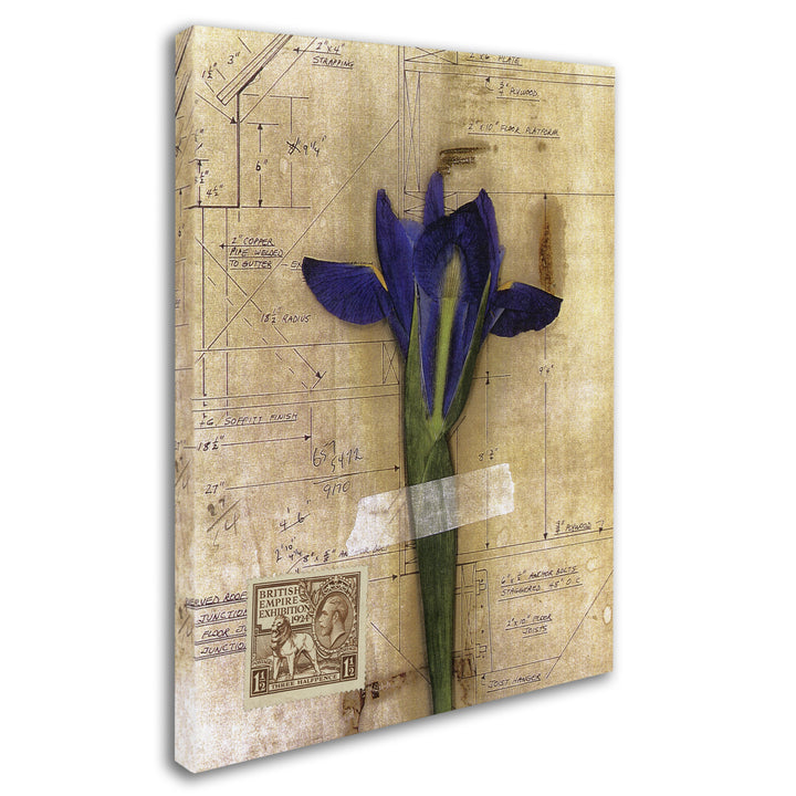 Nick Bantock Iris Plan 14 x 19 Canvas Art Image 3