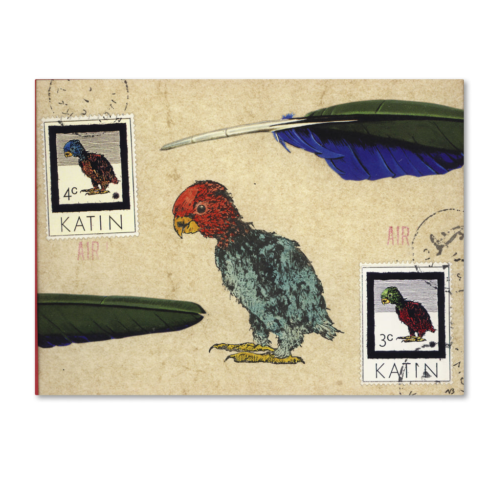 Nick Bantock Katin Parrot 14 x 19 Canvas Art Image 2