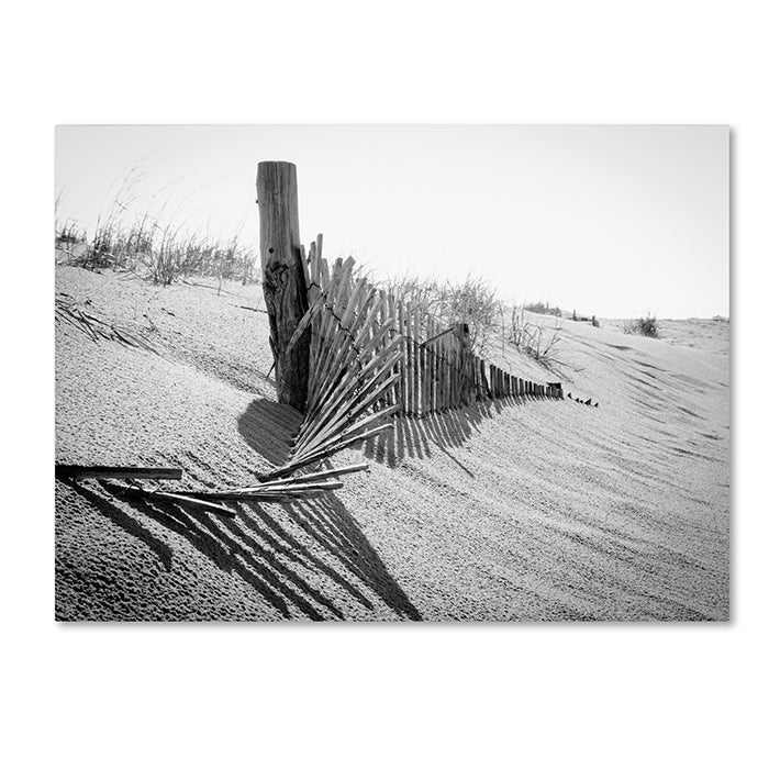 PIPA Fine Art High Key Dunes 14 x 19 Canvas Art Image 1