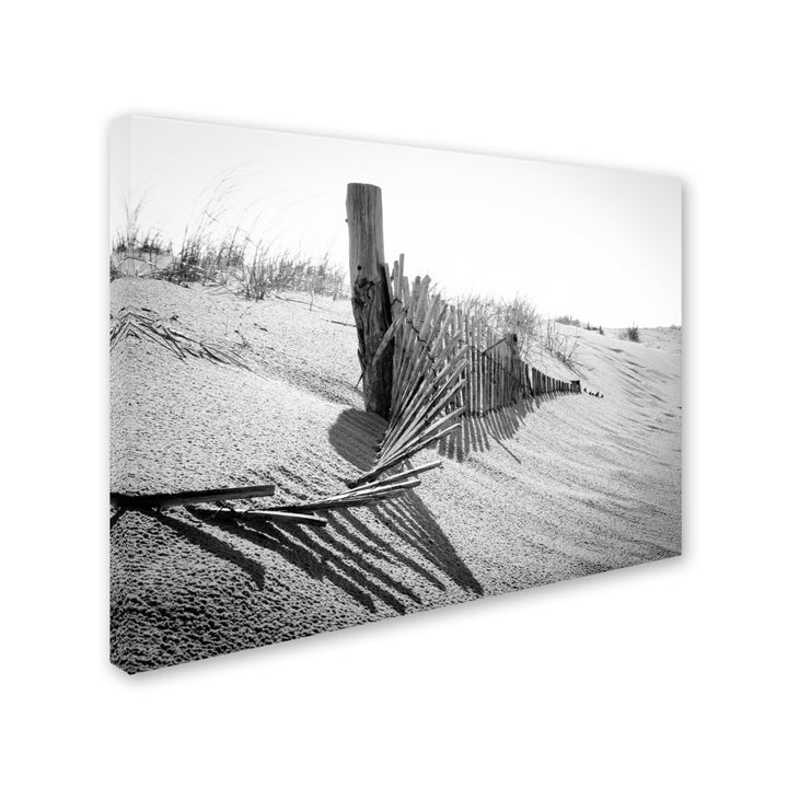 PIPA Fine Art High Key Dunes 14 x 19 Canvas Art Image 3