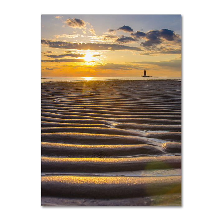 PIPA Fine Art Sandbars 14 x 19 Canvas Art Image 1