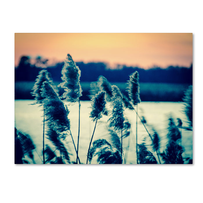 PIPA Fine Art Sunset on the Marsh 2 14 x 19 Canvas Art Image 1