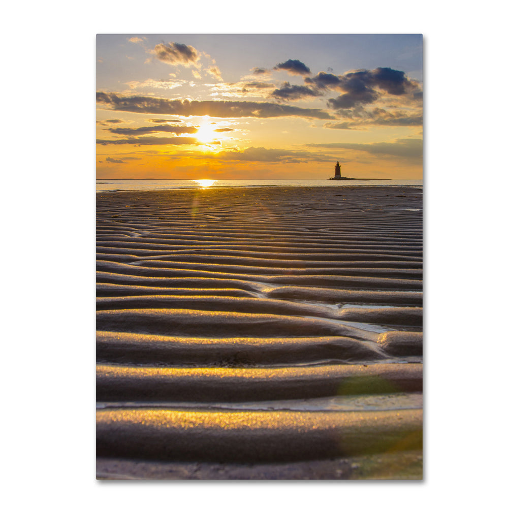 PIPA Fine Art Sandbars 14 x 19 Canvas Art Image 2