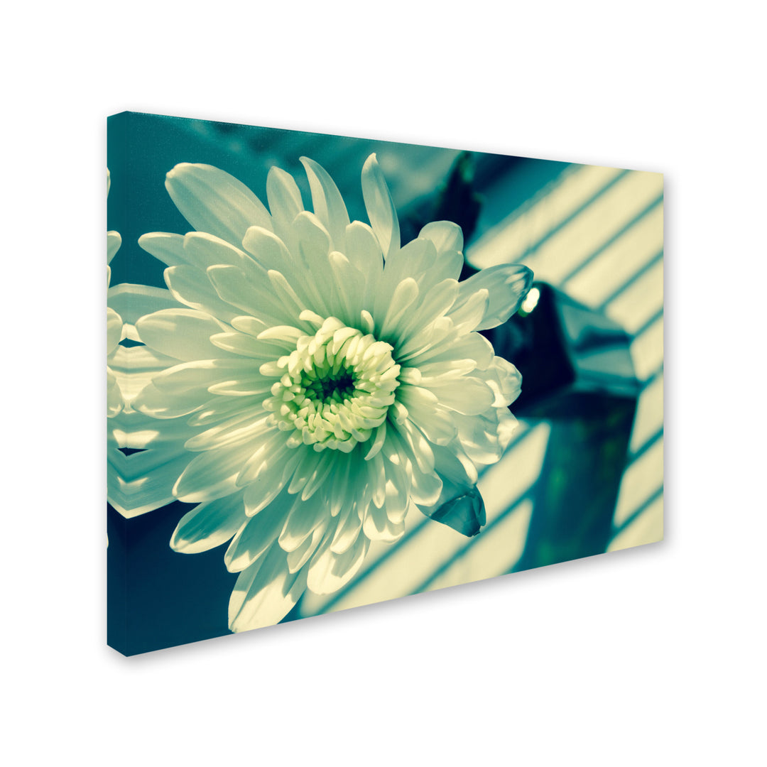 PIPA Fine Art Melancholy Flower 14 x 19 Canvas Art Image 3